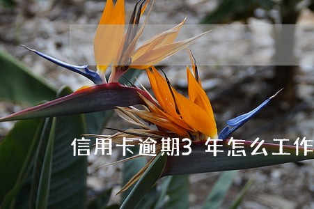 信用卡逾期3年怎么工作 信用卡逾期3年怎么工作