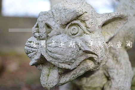 信用卡逾期3年怎么查询