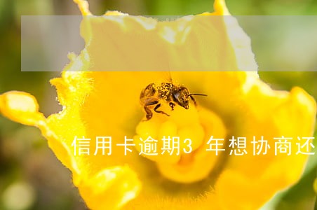 信用卡逾期3年想协商还款 信用卡逾期3年想协商还款