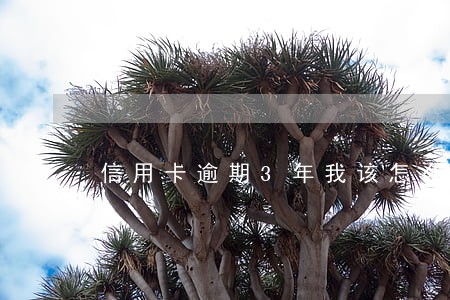 信用卡逾期3年我该怎么还钱 信用卡逾期3年我该怎么还钱
