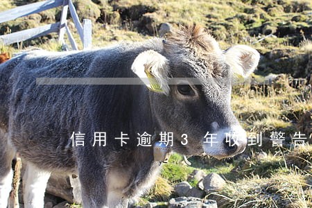 信用卡逾期3年收到警告函