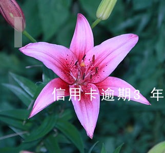 信用卡逾期3年故意不还 信用卡逾期3年故意不还