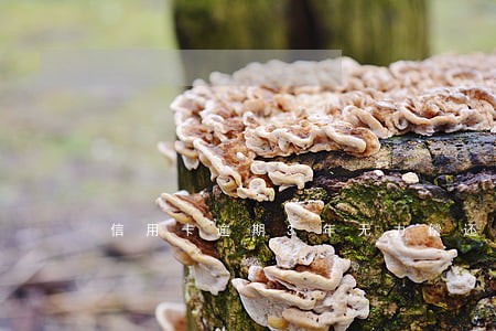 信用卡逾期3年无力偿还怎么办 信用卡逾期3年无力偿还怎么办