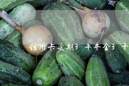 信用卡逾期3年本金3千 信用卡逾期3年本金3千