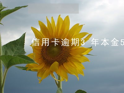信用卡逾期3年本金5万