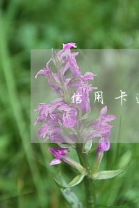 信用卡逾期3年没被起诉 信用卡逾期3年没被起诉