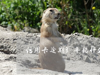 信用卡逾期3年犯什么罪 信用卡逾期3年犯什么罪