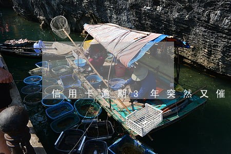 信用卡逾期3年突然又催收了 信用卡逾期3年突然又催收了