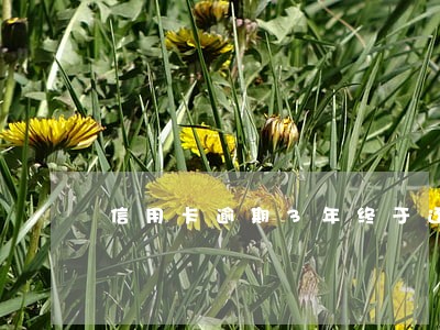 信用卡逾期3年终于还完了 信用卡逾期3年终于还完了