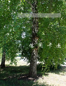 信用卡逾期3年经历