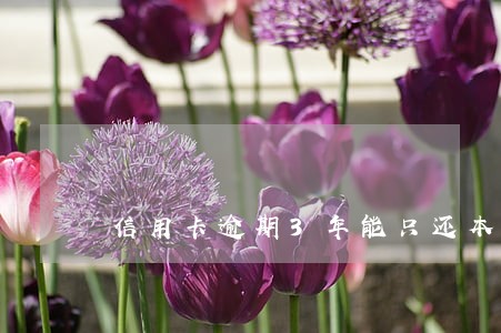 信用卡逾期3年能只还本金吗 信用卡逾期3年能只还本金吗