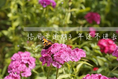 信用卡逾期3年还不进去怎么办 信用卡逾期3年还不进去怎么办
