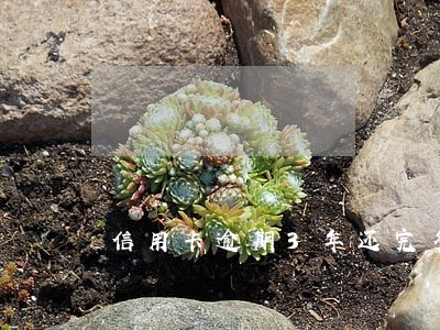 信用卡逾期3年还完多久能成白户