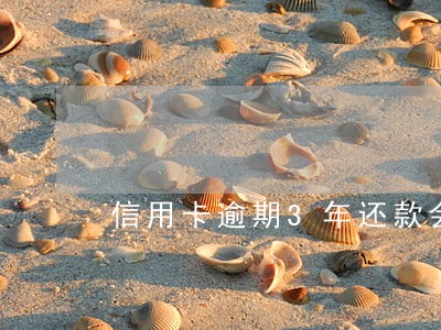 信用卡逾期3年还款会怎么样 信用卡逾期3年还款会怎么样