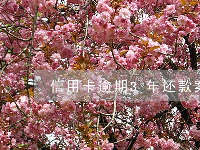 信用卡逾期3年还款案例 信用卡逾期3年还款案例
