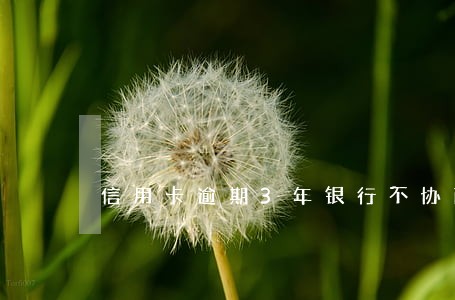 信用卡逾期3年银行不协商 信用卡逾期3年银行不协商