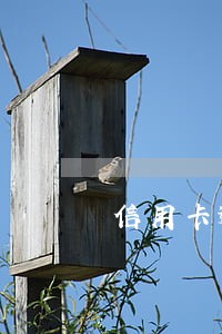 信用卡逾期3年银行不发账单