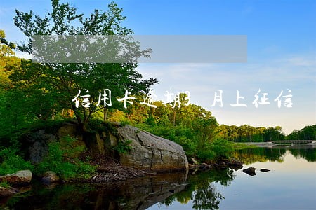 信用卡逾期3月上征信 信用卡逾期3月上征信