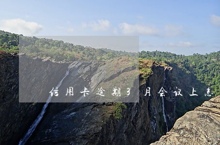 信用卡逾期3月会议上怎么样 信用卡逾期3月会议上怎么样
