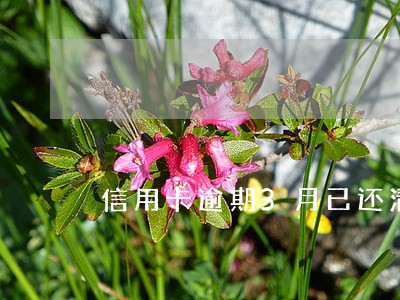 信用卡逾期3月已还清