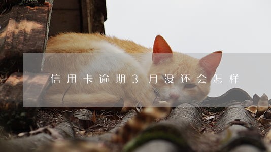 信用卡逾期3月没还会怎样