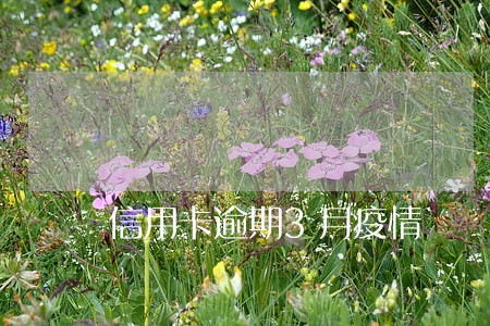 信用卡逾期3月疫情 信用卡逾期3月疫情
