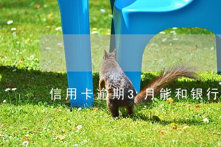信用卡逾期3月能和银行商量吗 信用卡逾期3月能和银行商量吗