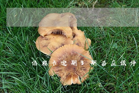 信用卡逾期3期后应该停卡