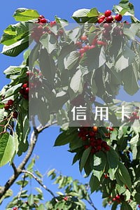 信用卡逾期3期房贷有影响吗 信用卡逾期3期房贷有影响吗