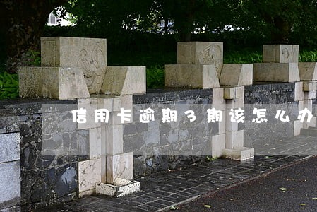 信用卡逾期3期该怎么办