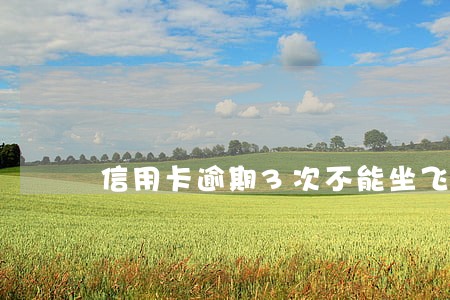 信用卡逾期3次不能坐飞机 信用卡逾期3次不能坐飞机