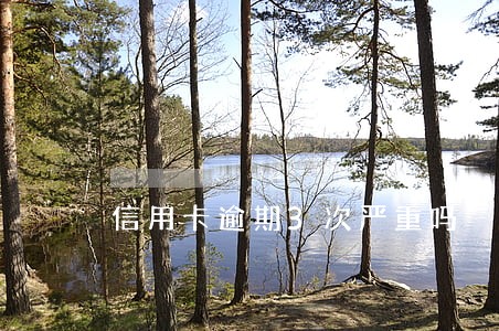 信用卡逾期3次严重吗