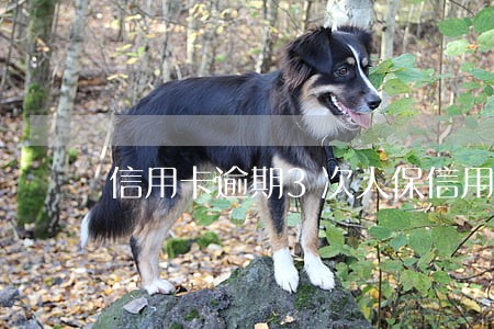信用卡逾期3次人保信用贷款