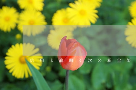 信用卡逾期3次公积金能贷款吗 信用卡逾期3次公积金能贷款吗