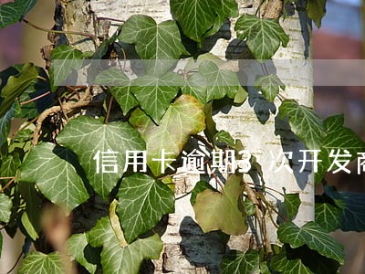 信用卡逾期3次开发商可以帮做吗