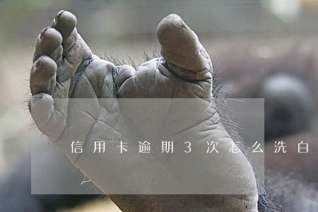 信用卡逾期3次怎么洗白 信用卡逾期3次怎么洗白