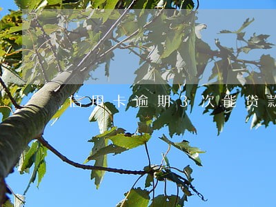 信用卡逾期3次能贷款买车吗 信用卡逾期3次能贷款买车吗