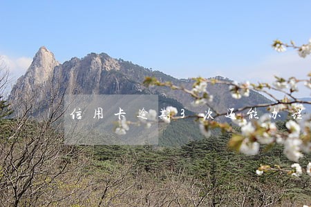 信用卡逾期3次还能办理新卡吗 信用卡逾期3次还能办理新卡吗