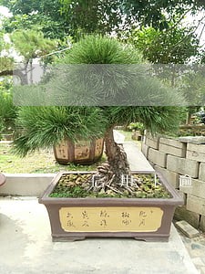 信用卡逾期3比 信用卡逾期3比