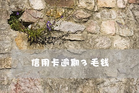 信用卡逾期3毛钱 信用卡逾期3毛钱