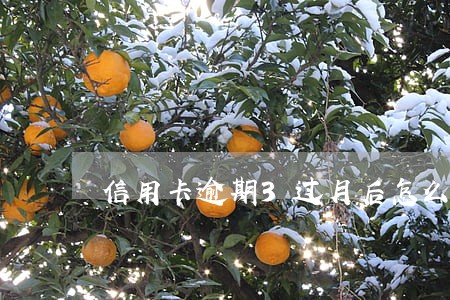信用卡逾期3过月后怎么办 信用卡逾期3过月后怎么办