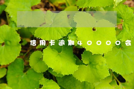 信用卡逾期40000会坐牢吗 信用卡逾期40000会坐牢吗