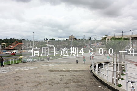 信用卡逾期4000一年不还 信用卡逾期4000一年不还
