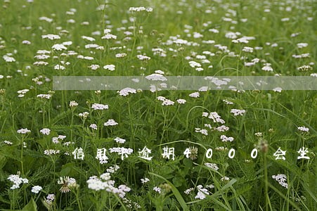 信用卡逾期4000会坐牢吗 信用卡逾期4000会坐牢吗