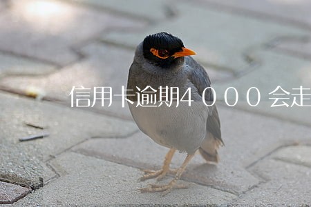 信用卡逾期4000会走诉讼吗 信用卡逾期4000会走诉讼吗