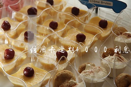 信用卡逾期4000利息最高多少 信用卡逾期4000利息最高多少