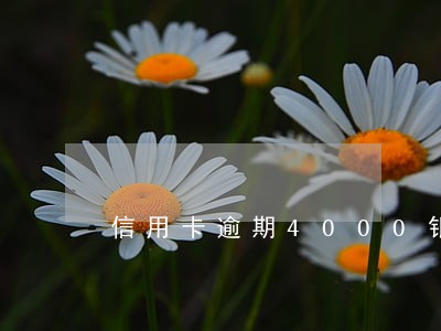 信用卡逾期4000银行给注销了