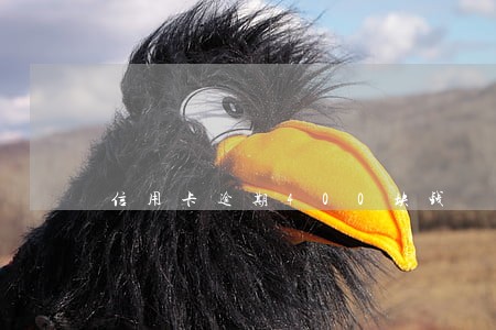 信用卡逾期400块钱 信用卡逾期400块钱