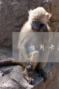 信用卡逾期400多怎么取消逾期 信用卡逾期400多怎么取消逾期