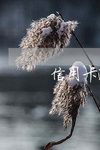 信用卡逾期400次